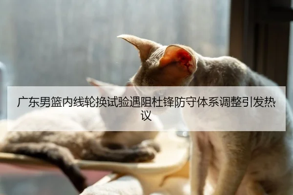 广东男篮内线轮换试验遇阻杜锋防守体系调整引发热议